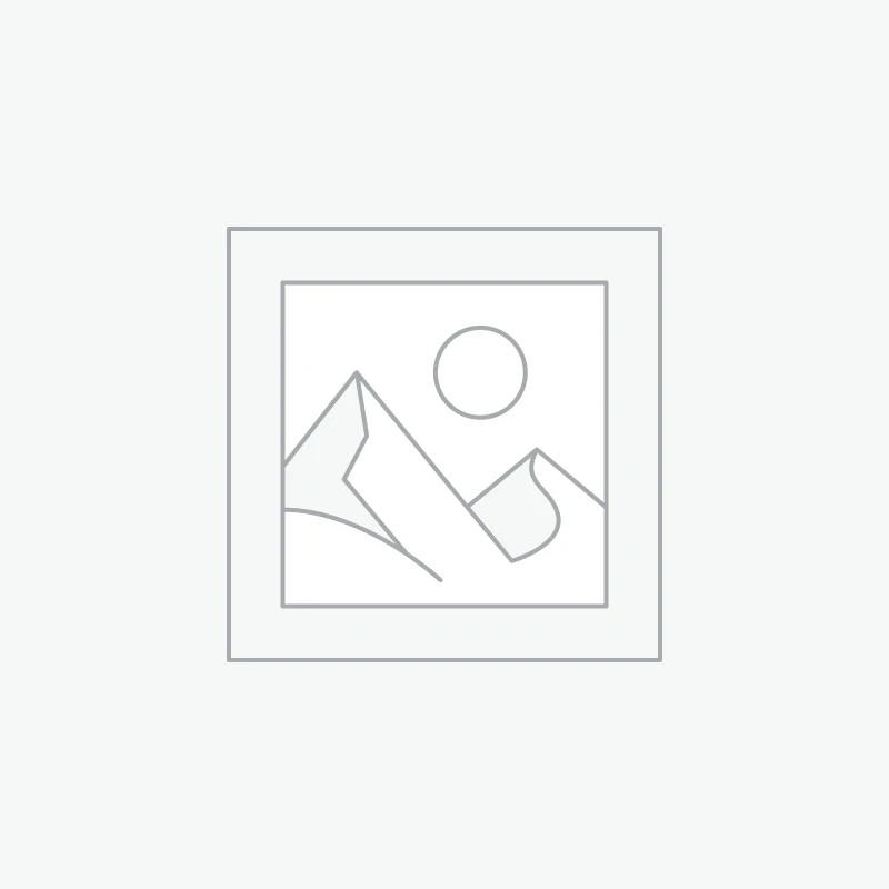 شواية غاز وحجر بركاني امريكي مبتكرة لشواء احترافي .